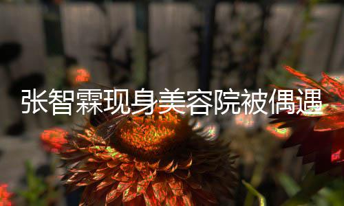 被偶容院张智曾因霖现遇 袁咏仪吃皮肤好被醋身美