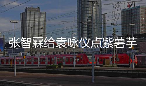 先生学一下张智紫薯奶茶霖给袁咏仪点芋泥 应采儿陈