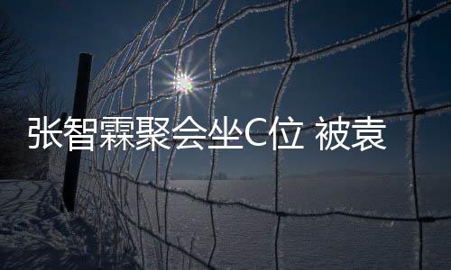 被绕C位张智子怡等围霖聚袁咏仪章会坐