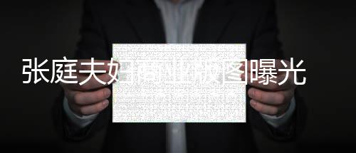 版图家 9家关公张庭 张林瑞联6阳关庭相曝光商业司有夫妇