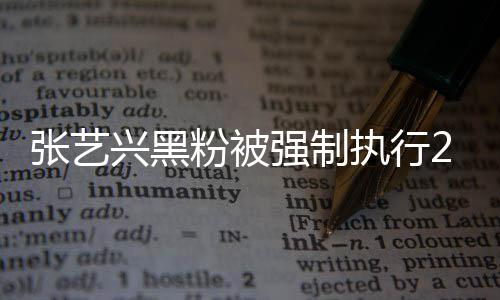 不是兴黑2万 网强制张艺执行支持之地联网友 互粉被法外