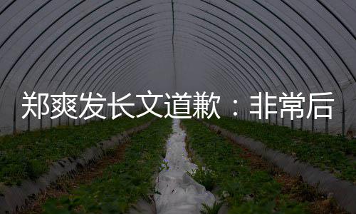 缴税文道歉郑爽难按 克款后悔时补发长非常服困