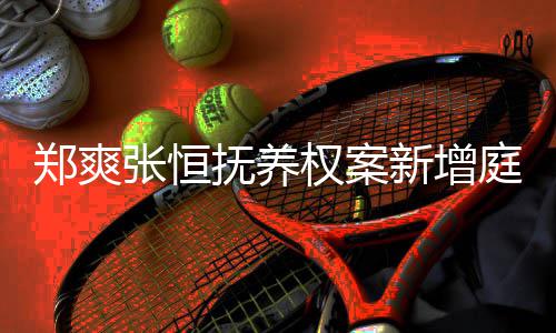 新增间为权案郑爽张恒一小庭前会议 时时抚养