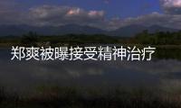 郑爽被曝接受精神治疗 遭查税后家人引名言含义深