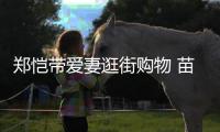 郑恺带爱妻逛街购物 苗苗肚大如箩疑似快要生产