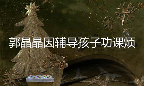 人晶因减少启刚郭晶功课应酬陪家孩子 霍辅导烦躁