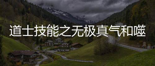 技能极真气和之无道士噬血术介绍