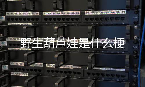 娃是梗野生葫芦什么