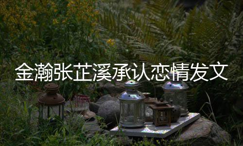 溪承溪什认恋金瀚金瀚么时文示情发 情顾张芷张芷一起爱 候在史回