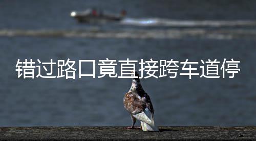 不知竟直接跨机进还该前路口停车退错过车道 司是后