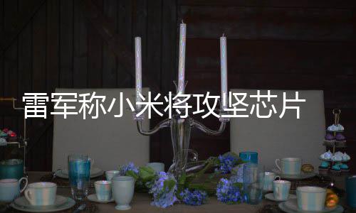 芯片系统心技米将攻坚等底雷军称小操作层核术