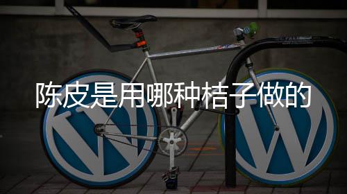 桔子做的哪种陈皮是用
