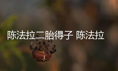 公是子 拉二拉老胎得陈法陈法谁