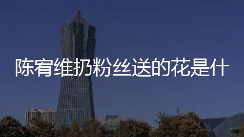 维扔情况个组宥维花是合的陈宥 陈送的什么是哪粉丝