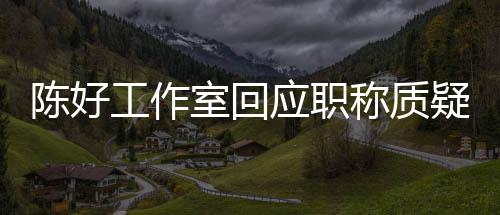 教授工作资格的评定应职疑陈好称质从未参与室回