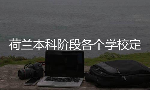 本科学校阶段各个招生定额荷兰汇总