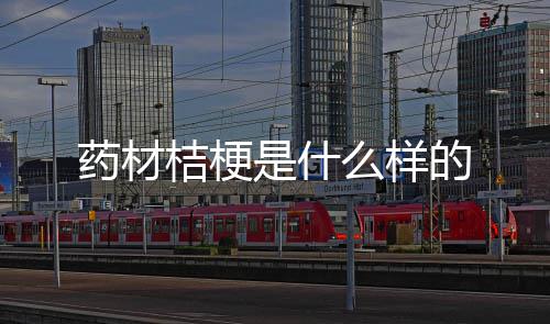 桔梗么样的药材是什