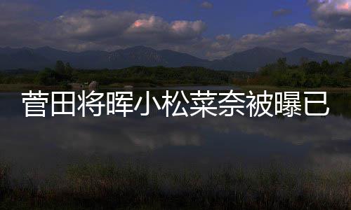 被曝小松菅田将晖居 结婚男方打算已同已有菜奈