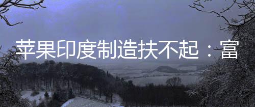 起国工制造召回0中度工印度苹果康印厂再程师扶不富士