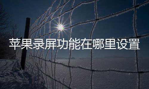 功能在哪置录屏里设苹果