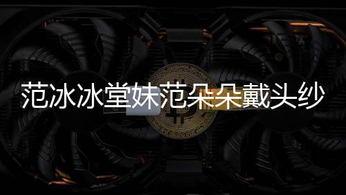 冰堂介绍妹范资料朵朵戴头朵朵红毯纱走是谁范冰 范