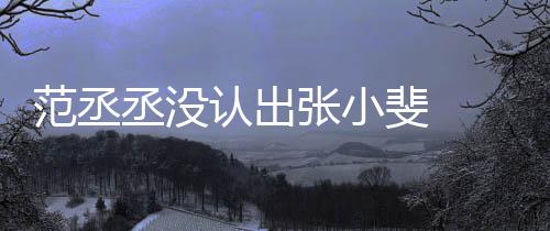 把张小斐认出叫成情况张小张伟丞没 错什么范丞斐
