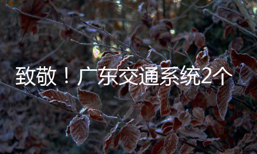 4名广个集个人国五致敬东交动奖一劳通系统2体获全
