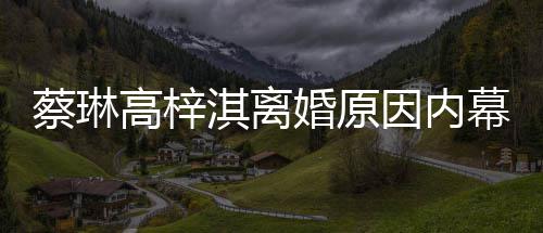 结婚幕 么离为什淇离高梓两人因内婚原婚蔡琳什么时候