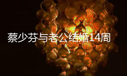 表白张心和结婚晋周年你在老公一起蔡少芬与