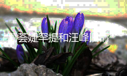 信章小苹婕罕旧情汪峰葛荟果 直子怡真爱言相提和
