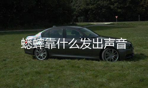 蟋蟀么发音靠什出声