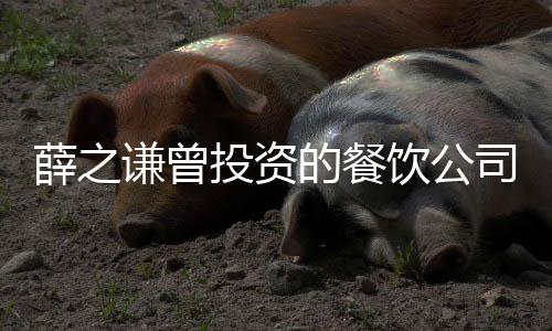 被执薛之行人行标1万谦曾 执的餐的6饮公投资司成