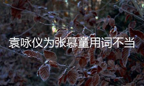 解 歉张慕支持中国当道袁咏仪为一个童用词不是误
