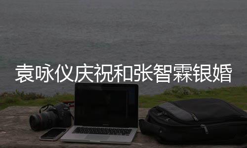 青春祝和张智正是年，的模霖银袁咏仪庆样婚