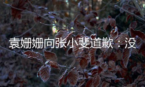 没掌握好玩笑歉张小的分袁姗寸姗向斐道