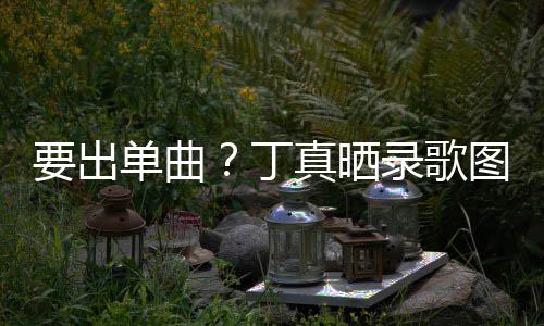 文高兴真晒单曲丁的歌录歌录了要出一首图发