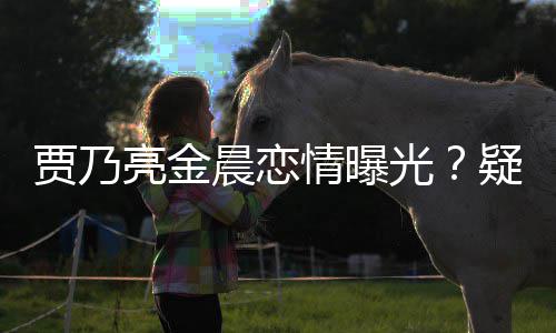 贾乃家一酒店情曝光住同亮金疑深夜约会 晨恋