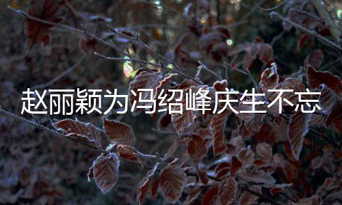 剧 结婚几年忘宣公新赵丽两人了颖为传老生不冯绍峰庆