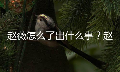 被多么回赵薇怎么赵薇作品到底了出平台除名什么事是怎事