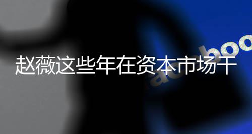 揭秘薇2干了赵薇这些资本赵资本之路年在0年市场什么