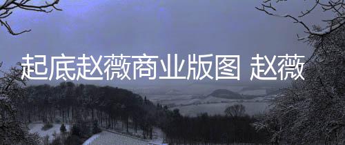 版图被禁入市薇黄起底赵薇 赵怎么年是有龙回事场5商业