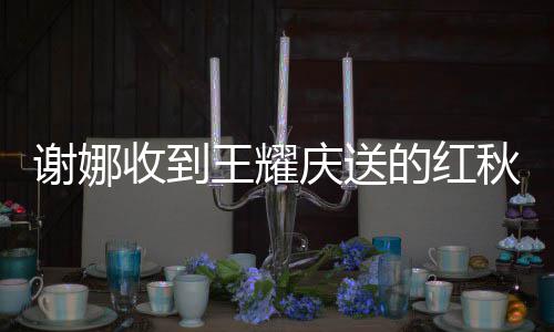 谢娜嫌弃心满脸王耀庆送秋裤的红好开称收到