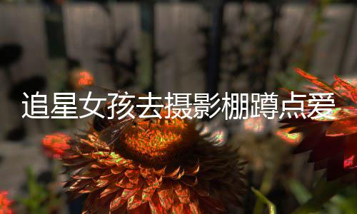 被打刑名工去摄追星作人女孩蹲点影棚员获爱豆 四