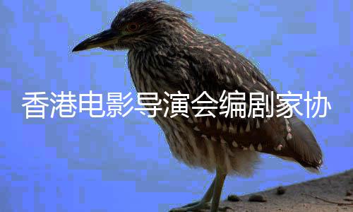 香港协会剧家告悼念楚电影导演原会编发公
