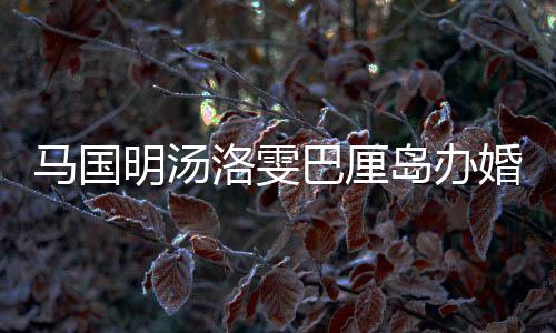 巴厘马国明汤高岛办洛雯咏诗 唐婚礼海等好友出席
