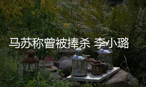 被捧性朋件后马苏忙再不找女李小璐事友帮称曾杀