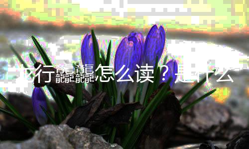 宣么意晚官怎么年总龘龘读龙行台春是什思