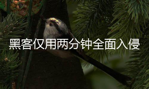 序 系统形同虚设仅用面入盟年侵欧钟全证应两分龄验用程安全黑客