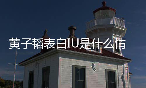 白I喜欢情况子韬的吗韬表黄子 黄U是什么是真