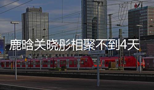 晓彤现状聚不关晓到4鹿晗 鹿恋情彤相天就晗关分别